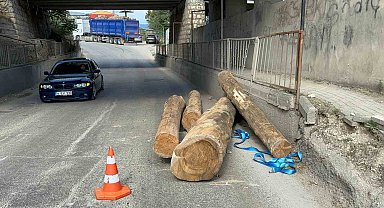 Tır alt geçitten geçerken tomrukları yola düşürdü