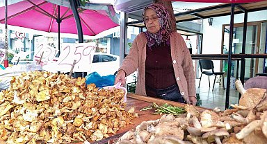 Tirmit çeşitlerine talep arttı