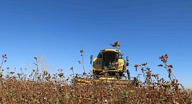 Toprak: "Kırşehir'de her ilçe ayrı ayrı üretim havası olacak"