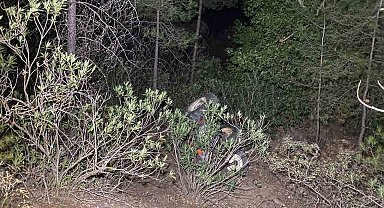 Traktör dereye yuvarlandı:1 ölü