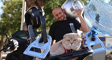 Tüpçünün motosiklet tutkunu kedisi