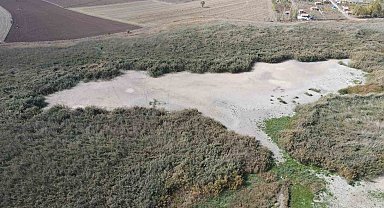 Türkiye'nin en önemli kuş cennetleri arasında yer alıyordu: Kuraklık tamamen kuruttu