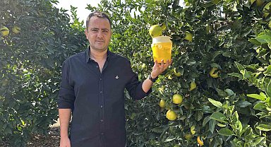 Türkiye'nin narenciye üretim merkezinde Akdeniz meyve sineğiyle mücadele sürüyor