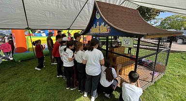 Türkiye'ye örnek etkinlik: 1 ayda 39 sokak hayvanı sahiplenildi