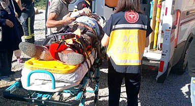 Tuvalet için yol kenarında durdu, 40 metrelik uçuruma yuvarlandı