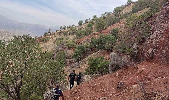 Uçurumda mahsur kalan çoban ve 6 koyun böyle kurtarıldı