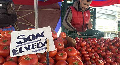 Ucuz ve lezzetli bahçe domateslerine esnaf 'Son elveda' dedi