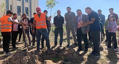 Üniversite yerleşkesinde çınar fidanları toprakla buluştu