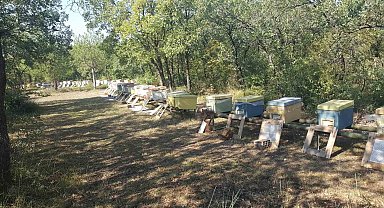 Üniversitenin zarar gören arı kovanları üretici desteğiyle yenilendi