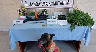 Uyuşturucu madde ticareti yapan şahsa jandarma operasyonu