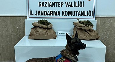 Uyuşturucu tacirine jandarma baskını