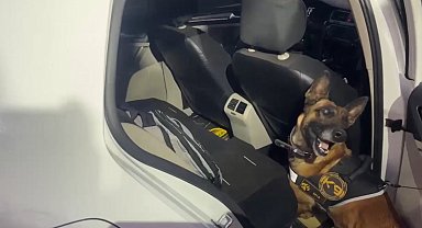 Uyuşturucu tacirleri 'Mia'nın burnuna takıldı