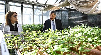 Vali Çiftçi'ye Tarımsal Araştırma Enstitüsü brifingi