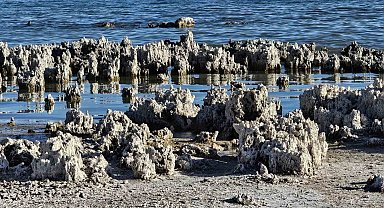 Van Gölü sahilinde korkutan tablo