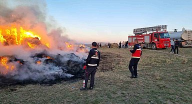Van'da 9 bin bağ ot yandı