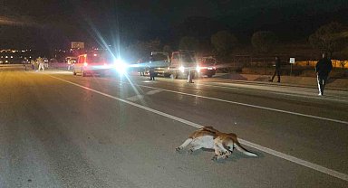 Van'da köpeğe çarpmamak için kaza yaptı: 8 kişi yaralandı