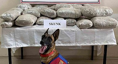 Van'da uyuşturucu operasyonunda 3 kişi tutuklandı