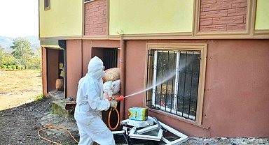 Vatandaşlar kokarcayla mücadele başlattı, 550 ev ilaçlandı