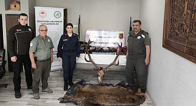Vurdukları geyikten sucuk yapmışlar: Gözaltına alınan 5 kişiye ceza yağdı