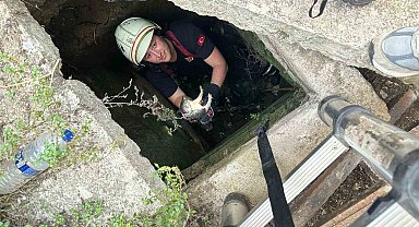 Yalova'da itfaiyeden kirpi ve kedi kurtarma operasyonları