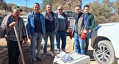 Yaralı halde bulunan hayvanlar koruma altına alındı