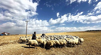 Yaylacıların zorlu dönüş yolculuğu başladı
