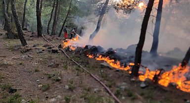 Yayladağı'nda örtü yangını
