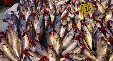 Yaylalara kar yağdı, denizde fırtına çıktı palamudun fiyatı arttı