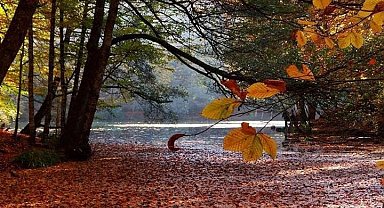 Yedigöller'de sonbahar mevsimi görsel şölen sunuyor