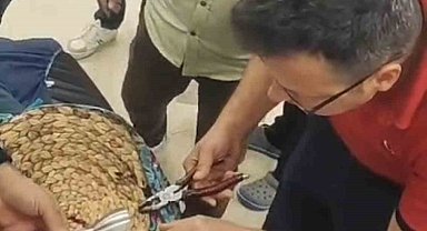 Yemek hazırlarken parmağı blendere sıkıştı