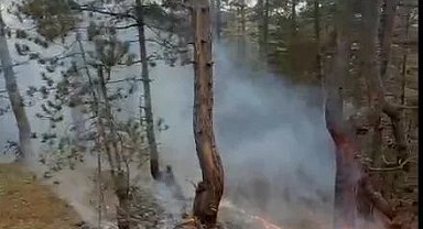 Yıldırım sebebiyle çıkan orman yangını köylülerin müdahalesi ile söndürüldü