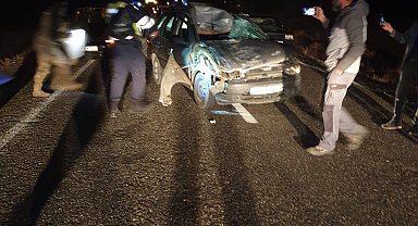 Yola çıkan ineğe çarpan otomobildeki 3 kişi yaralandı