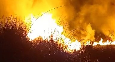 Yüksekova'da kuş cenneti alev alev yandı