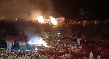 Yüksekova'da Nehil sazlığı cayır cayır yandı