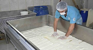 Yüzde 50 hibe desteğiyle kurulan fabrikada süt ürünleri üretiliyor