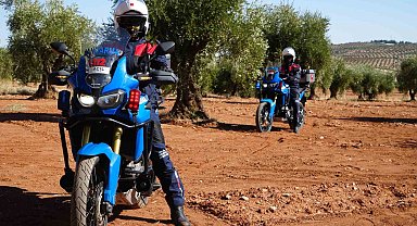 Zeytin bahçelerine jandarma koruması