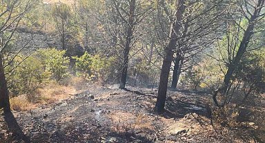 Zeytinlik alanda çıkan yangına havadan ve karadan müdahale edildi