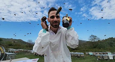 Zonguldak kestane balının kalitesi dünyaya ulaştı