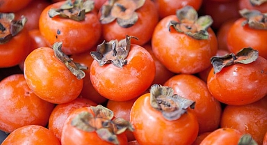 Cennet hurması kabuğu çayı faydaları nelerdir? Cennet hurması kabuğa çayı neye iyi gelir?