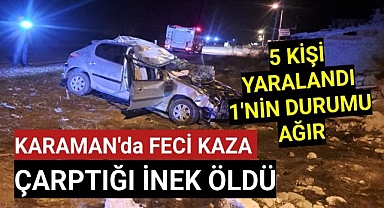 Karaman'da İneğe Çarpan Araçta Aynı Aileden 5 Kişi Yaralandı 1'nin Durumu Ağır