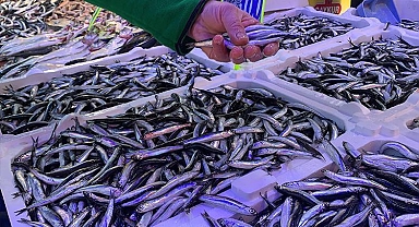 Karadeniz'de havalar soğudu, hamsi fiyatları düştü... İşte tezgahtaki satış fiyatı