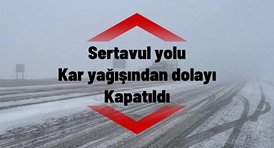 Karaman-Sertavul yolu yoğun kar ve tipi nedeniyle trafiğe kapatıldı
