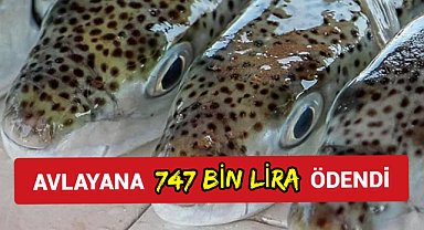 Onu avlayanlara 747 bin lira ödendi Derisinden eşya, zehrinden ilaç için çalışma