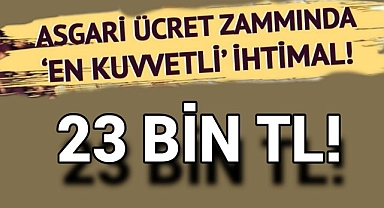 ZAM PAZARLIĞINDA KRİTİK GÜN BUGÜN