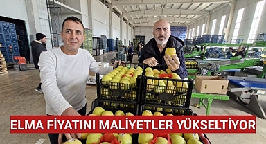 Elma Fiyatlarını Maliyetler Yükseltiyor
