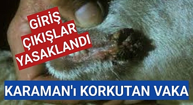 Karaman'ı Tedirgin Eden Vaka Yüzünden Giriş Çıkışlar Yasaklandı