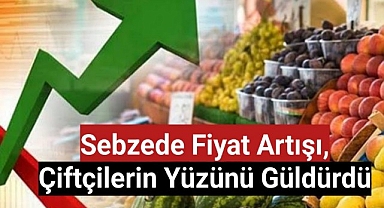 Sebzede fiyat artışı, çiftçilerin yüzünü güldürdü
