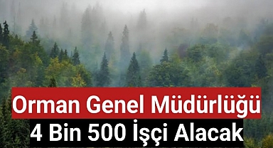 Orman Genel Müdürlüğü 4 bin 500 işçi alacak