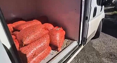 Samsun’da 1 ton 180 kilogram kaçak midye ele geçirildi! 75 bin 540 TL ceza kesildi