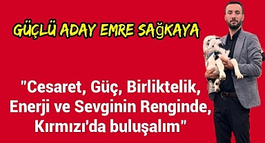 Güçlü Aday Emre Sağkaya: 